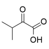 3-Methyl-2-oxobutanoic acid