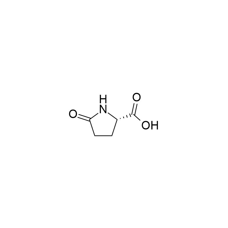 L-Pyroglutamic acid