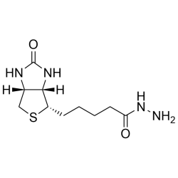 Biotin hydrazide