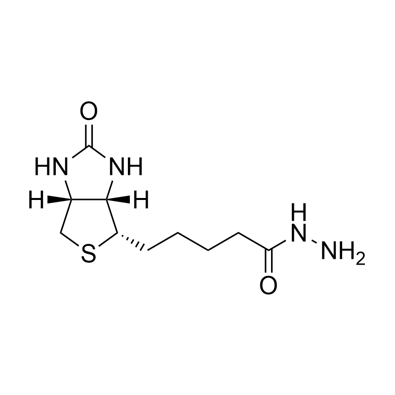 Biotin hydrazide