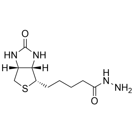 Biotin hydrazide